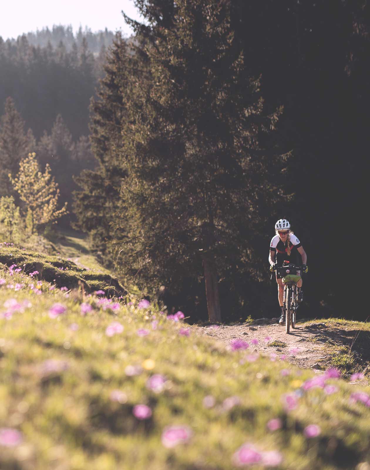 Gravelbikepacking Abenteuer