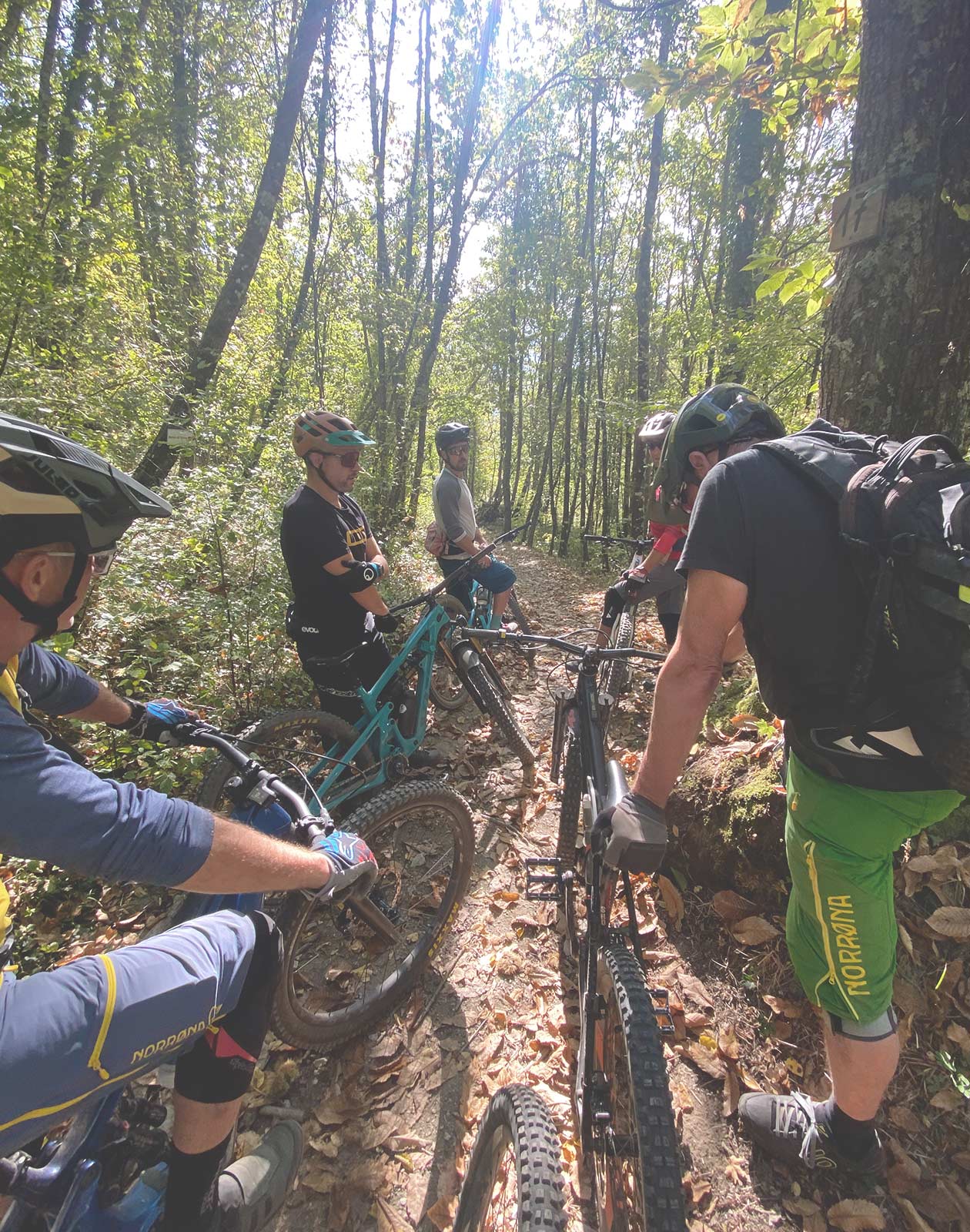 Trail Safari Ligurien
