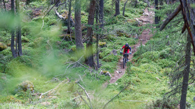 Enduro Mountainbike Freeride Camp Reschenpass - Singletrails