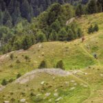 Rasenmäher Camp - Alpine Trailcamp Santa Caterina Valfurva
